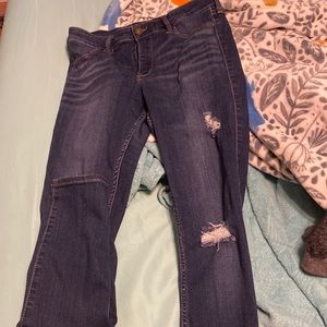 Size 11 regular hollister high rise jeggings